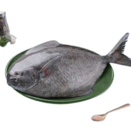 Black Pomfret