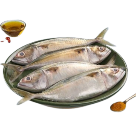 Mackerel