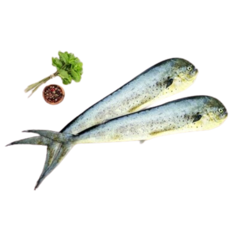 Mahi Mahi
