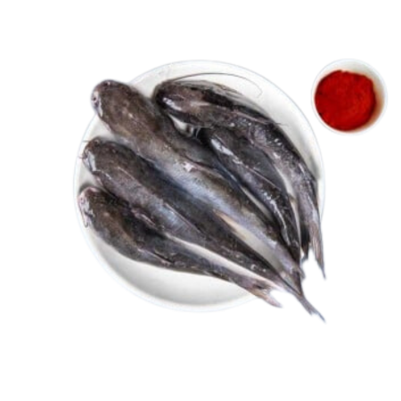 Marine Catfish \ Etta Kunju (Small) (50g to 140g)