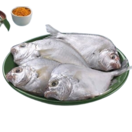 Pony Fish