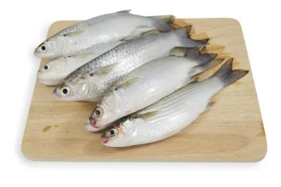 Grey Mullet / Thirutha / Bhangor / ಮಡಲೆ (Small) (200g to 390g)