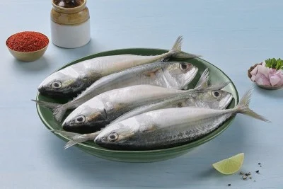 mackeral