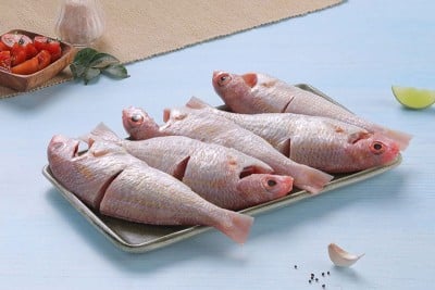 pink perch medium