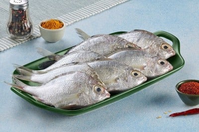 silver biddy pranjil