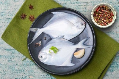 silver pomfret